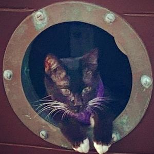 Meet your Posher, Missy